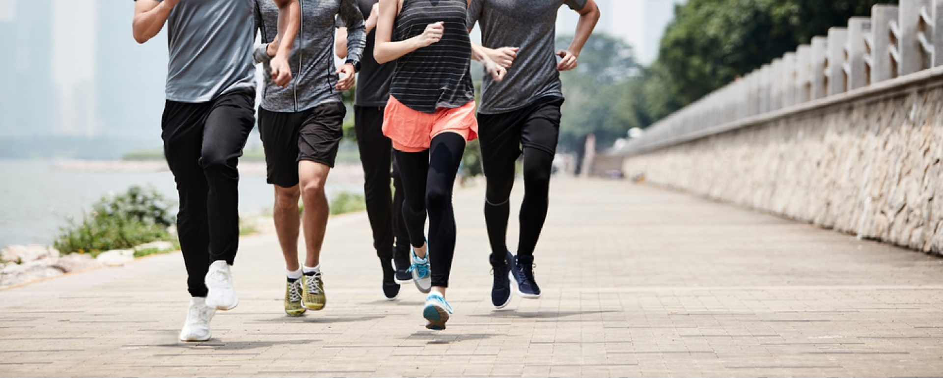 Một Bước Chạy, Ngàn Nhịp Đập