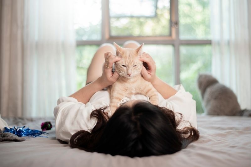 Người mẹ trẻ ôm mèo trong ánh nắng buổi sớm