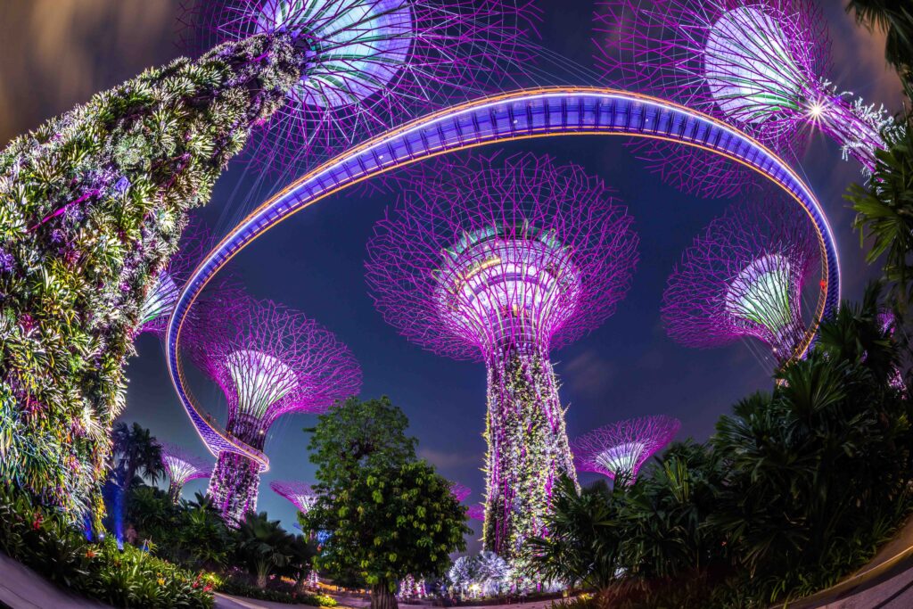 Supertree Grove lung linh ánh đèn tại Gardens by the Bay vào ban đêm