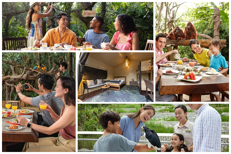 Colugo Camp