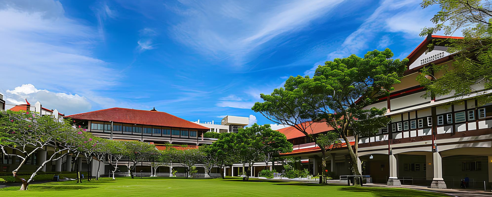 Phía Sau Hào Quang Của Những Trường Đại Học Danh Tiếng