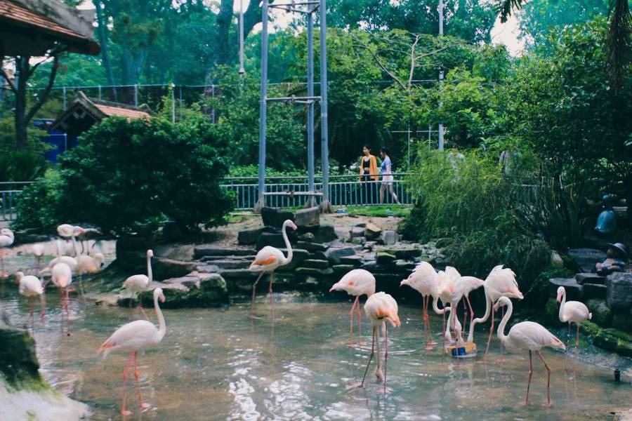 Thảo Cầm Viên Sài Gòn