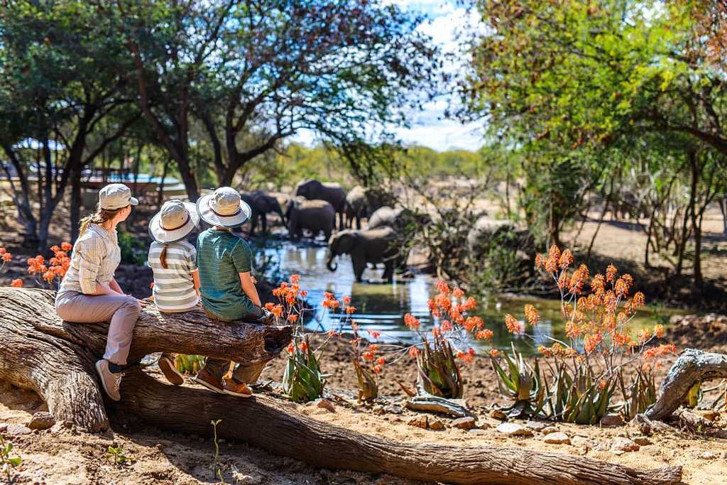 Lượng đặt chỗ safari cho gia đình đã tăng 20% trong năm qua