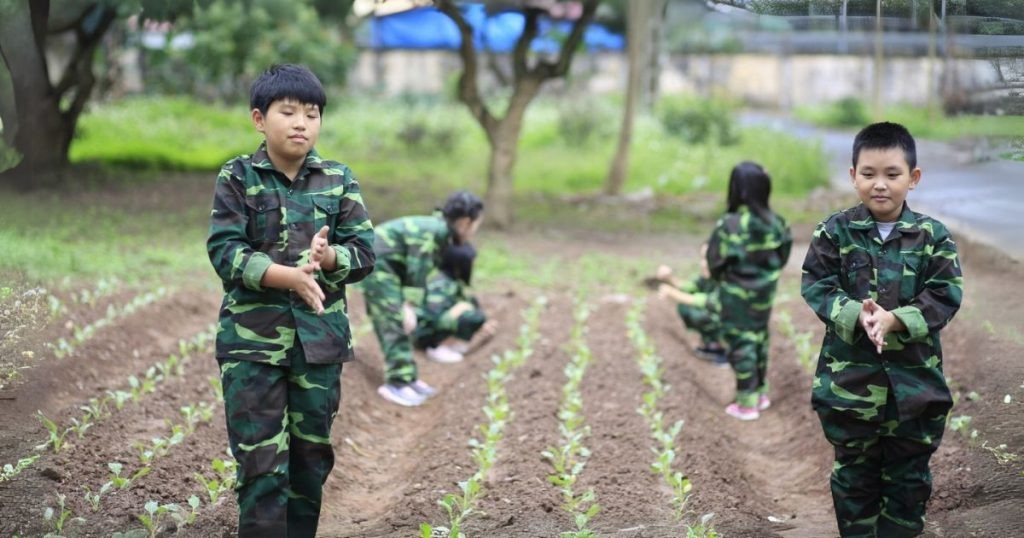 TRẠI HÈ UY TÍN TẠI VIỆT NAM