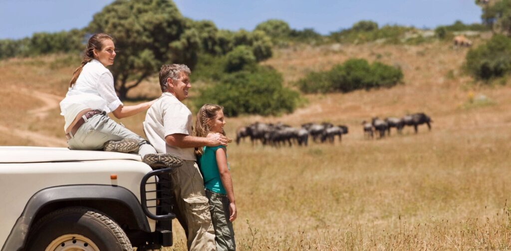 Hành trình tại Safari không chỉ mang lại niềm vui mà còn gieo vào tâm hồn non trẻ sự tôn trọng thiên nhiên.
