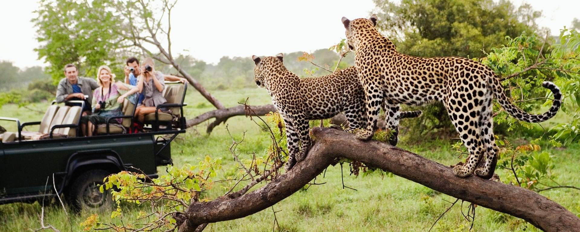 Khi Safari Lodge Mở Rộng Vòng Tay Chào Đón Trẻ Nhỏ