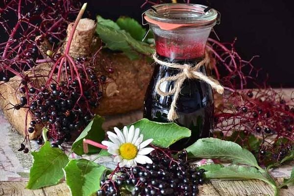 Siro cây cơm cháy trong lọ thủy tinh