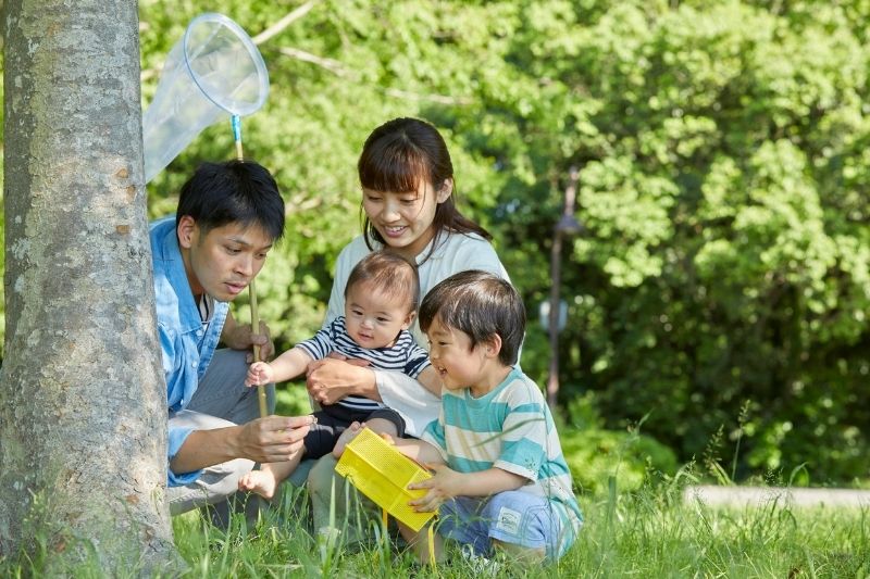 giáo dục khoa học cho trẻ nhỏ thông qua khám phá tự nhiên