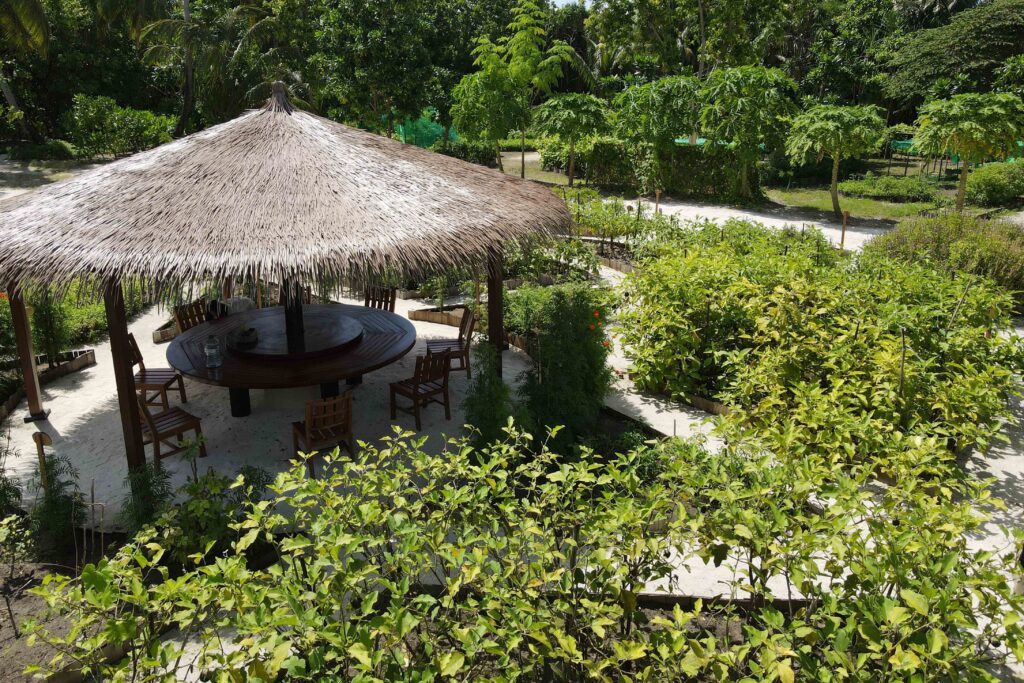 The Residence Maldives Earth Table garden-to-table