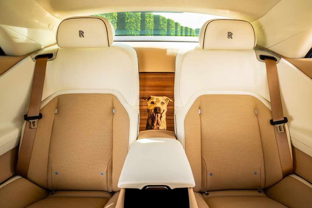 Spectre Bailey được tạo nên từ chương trình Bespoke trứ danh của Rolls-Royce