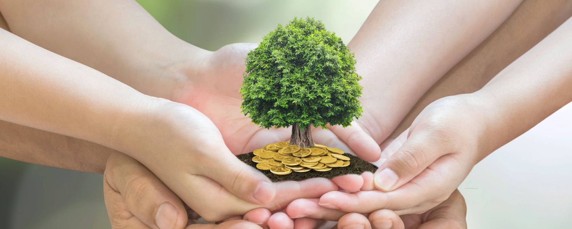 Nghệ Thuật Đầu Tư Cho Một Mái Ấm Vững Vàng