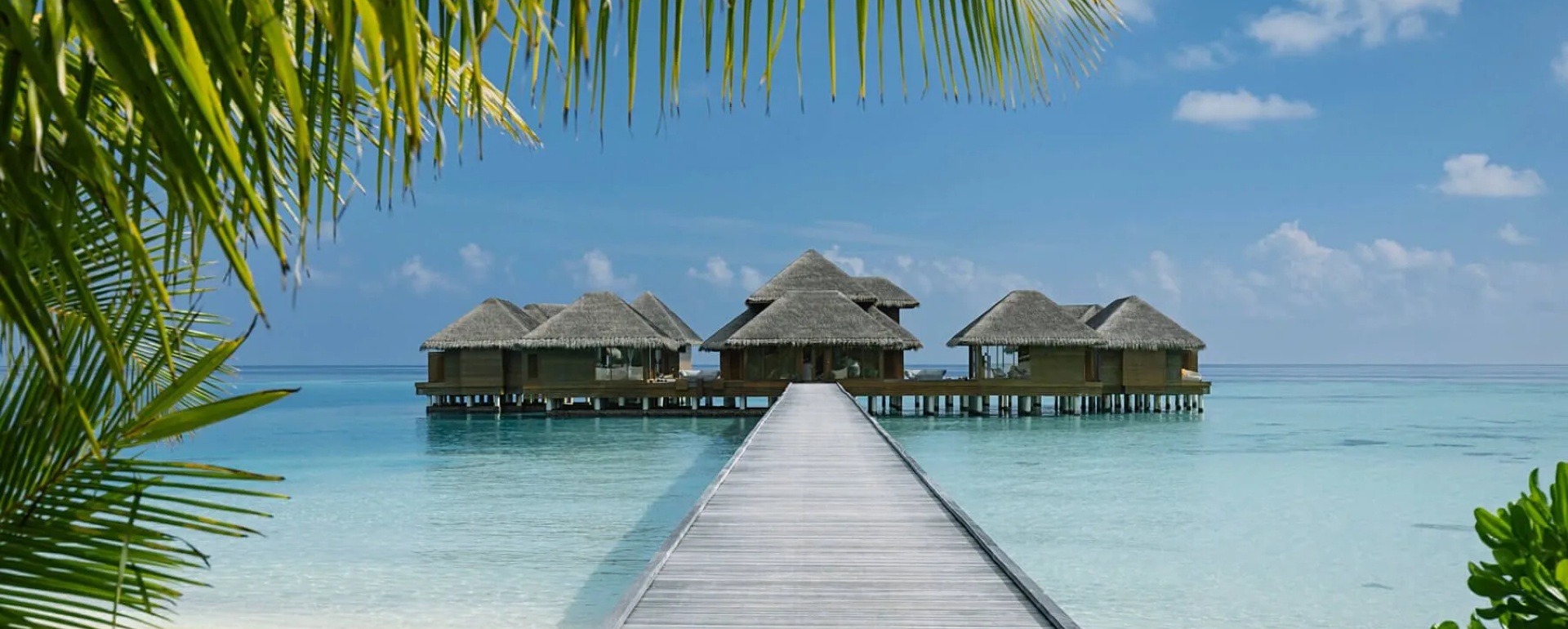 “Ốc Đảo Chữa Lành” Dưới Làn Nước