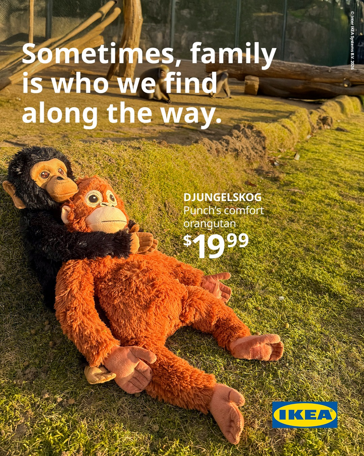 IKEA Nhật Bản vừa gửi tặng 30 chú thú bông hoàn toàn mới cho Punch