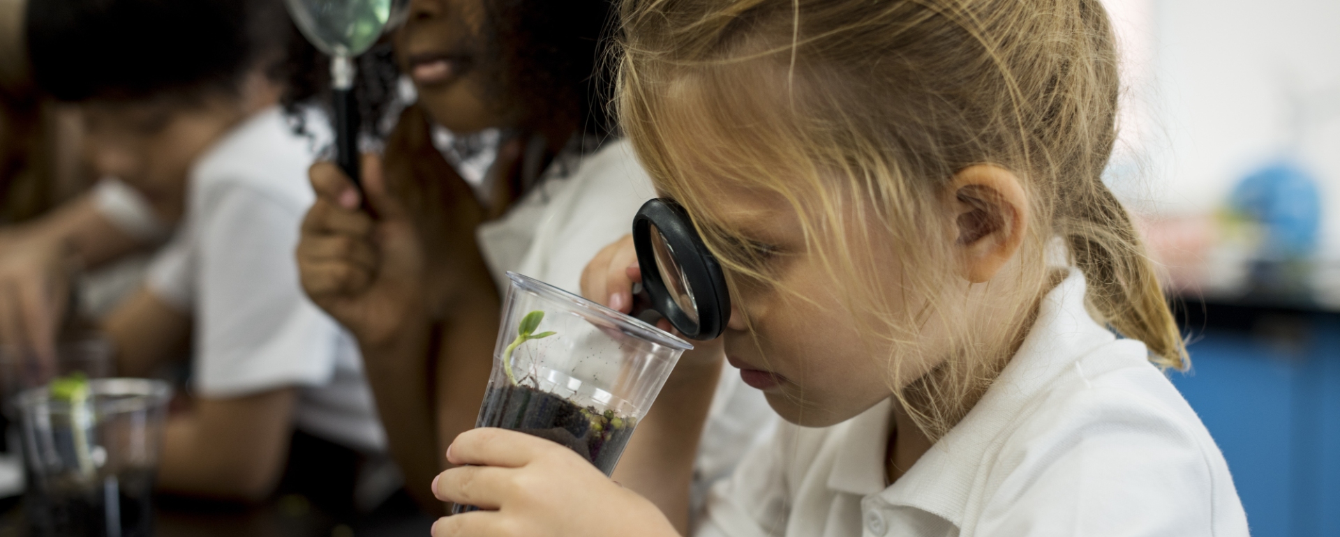 Giáo Dục Khoa Học Sớm Nuôi Dưỡng Trí Tò Mò Của Trẻ