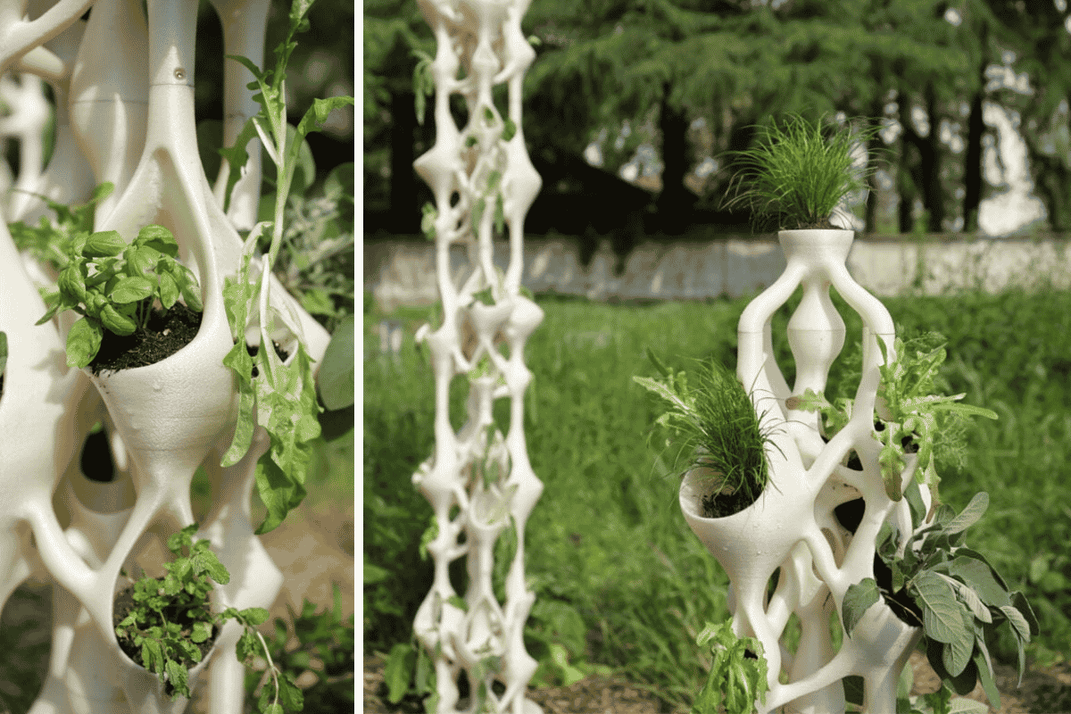 Hệ thống trồng cây thủy canh mô-đun What Grows Between sử dụng nhựa sinh học có khả năng đổi màu khi điều kiện phát triển của cây chưa phù hợp